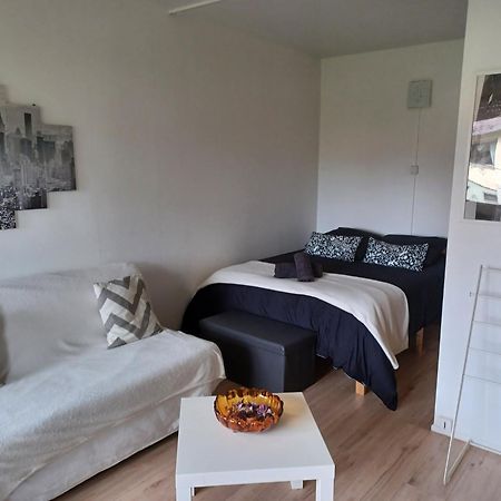 Studio Rdc Calme Avec Parking Ferme Pres Autoroute Et Tram C Mulhouse Ngoại thất bức ảnh