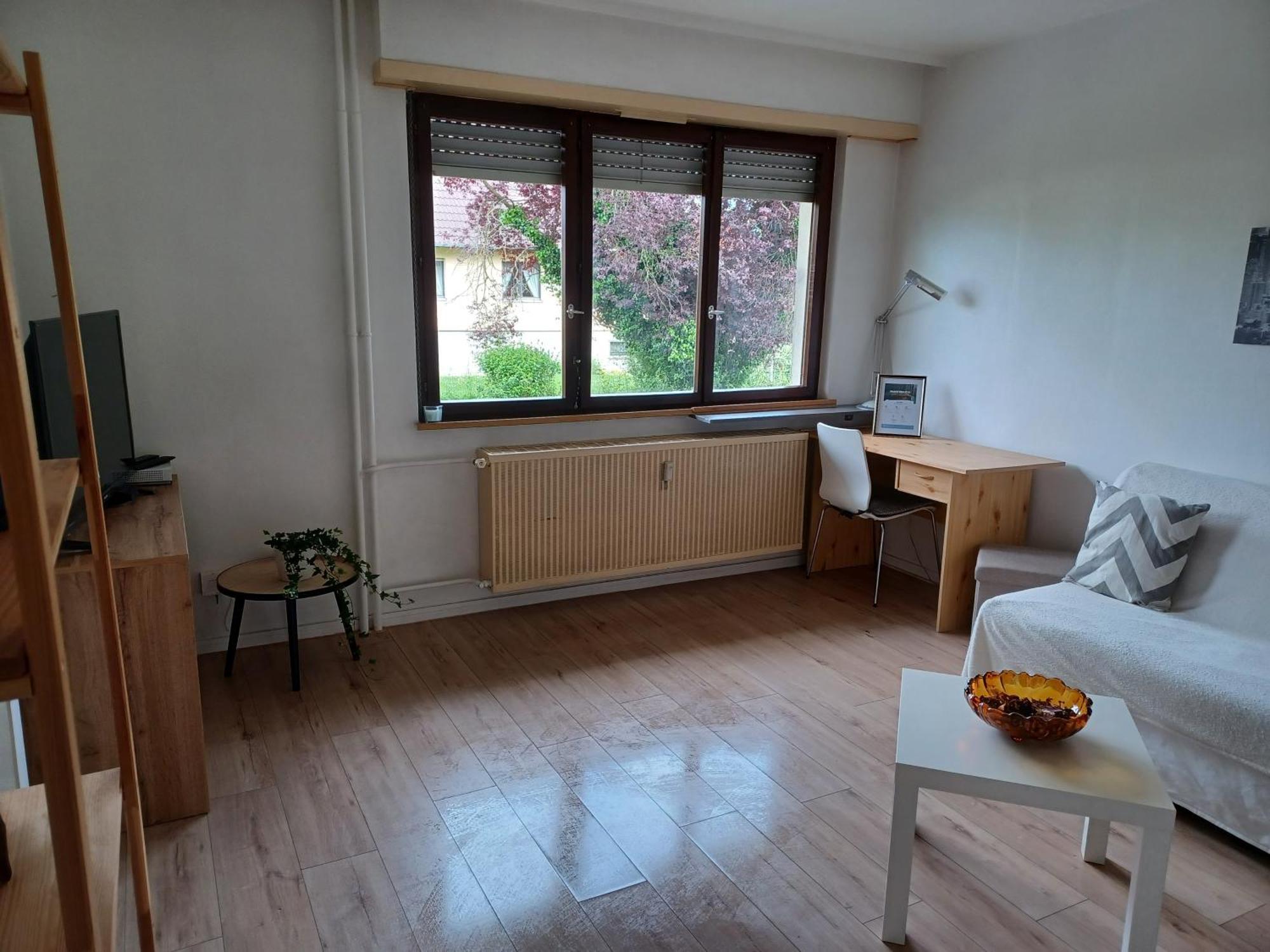 Studio Rdc Calme Avec Parking Ferme Pres Autoroute Et Tram C Mulhouse Ngoại thất bức ảnh