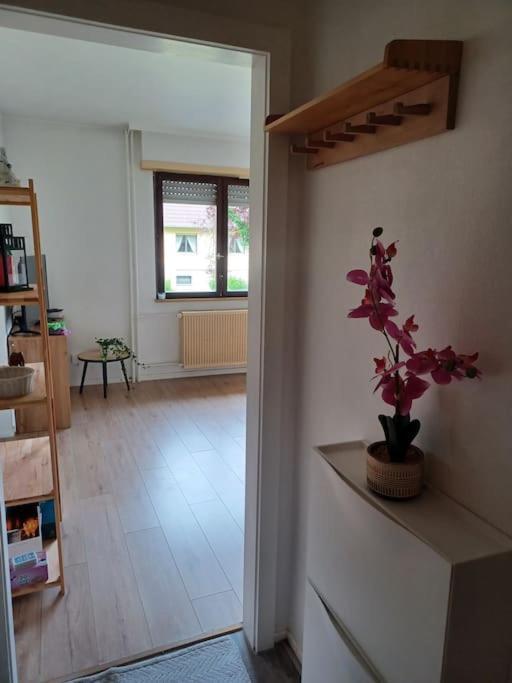 Studio Rdc Calme Avec Parking Ferme Pres Autoroute Et Tram C Mulhouse Ngoại thất bức ảnh