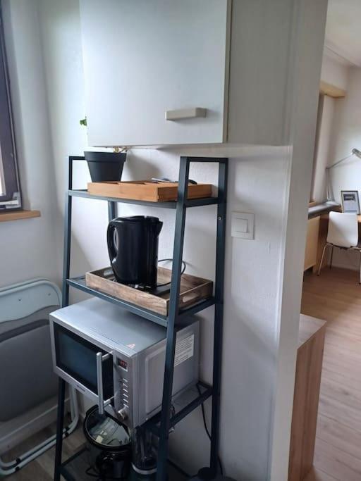 Studio Rdc Calme Avec Parking Ferme Pres Autoroute Et Tram C Mulhouse Ngoại thất bức ảnh