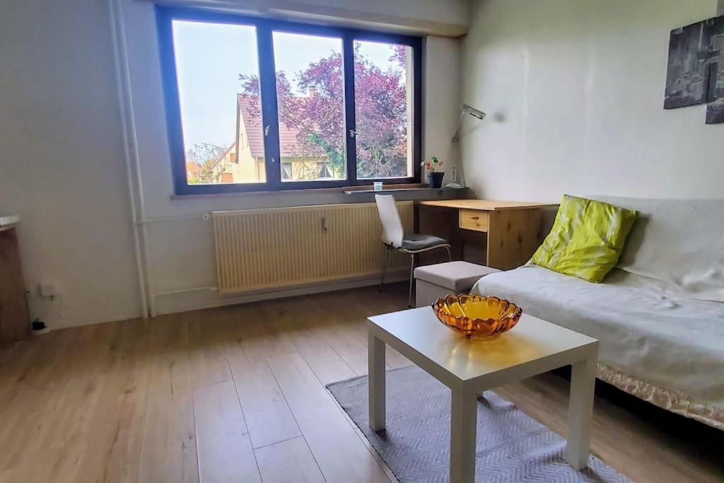Studio Rdc Calme Avec Parking Ferme Pres Autoroute Et Tram C Mulhouse Ngoại thất bức ảnh
